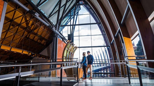 National Wine Centre Tour with Guided Tasting - 1.5 Hours