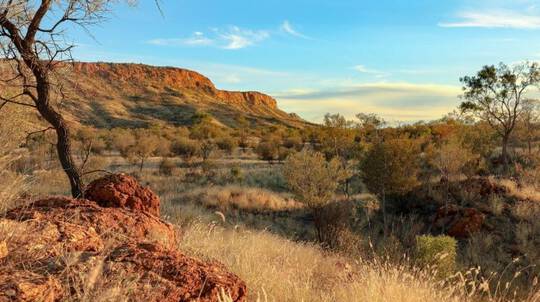 Alice Springs Brewery Tour with Tasting & Pizzas - For 2