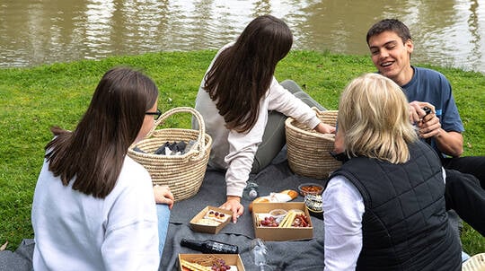 Family Farm Picnic with Grazing Food and Drinks - For 4