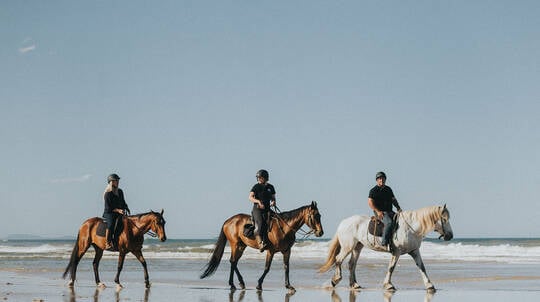 Byron Bay Forest to Beach Horse Trail Ride - 2 Hours