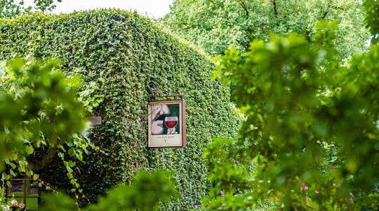 Picnic and Structured Wine Tasting at Yalumba - For 2