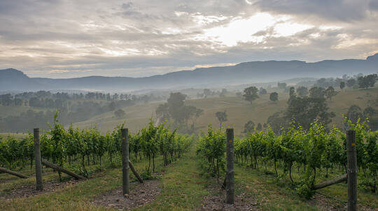 Blue Mountains Vineyard Getaway - Midweek - 2 Nights
