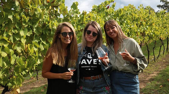 Hunter Valley Wine, Gin, Chocolate and Cheese Tour - Sydney