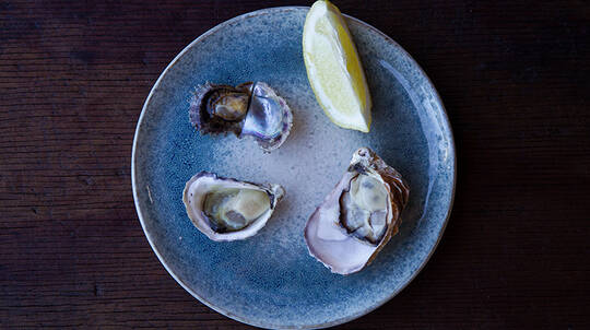 Broken Bay Pearl Farm Oyster Tasting