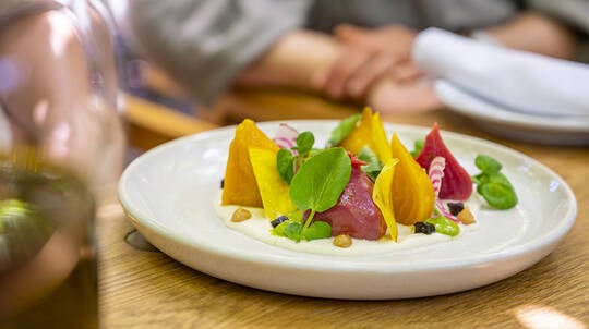 Winery Tour & The Currant Shed Vegan-Friendly 3 Course Lunch