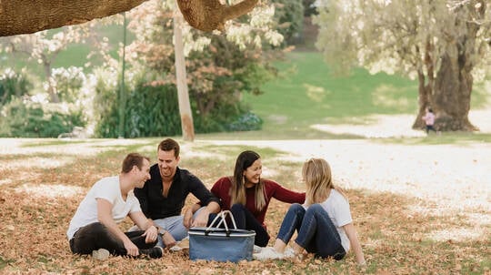 All Inclusive Mystery Picnic Experience - SA