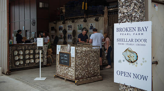 Broken Bay Pearl Farm Oyster Tasting