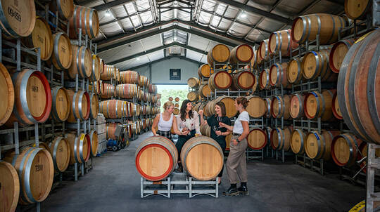 Private Winery Tour and The Currant Shed 3 Course Lunch