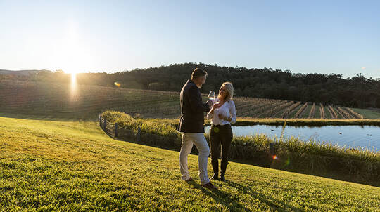 Taste of the Hunter Wine Experience with Cheese & Chocolates