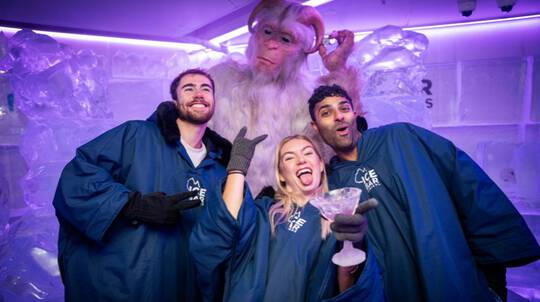 IceBar Entry with Cocktail - Surfers Paradise