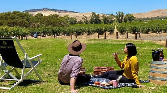 Barossa Valley Picnic with Food, Wine and Tasting - For 2