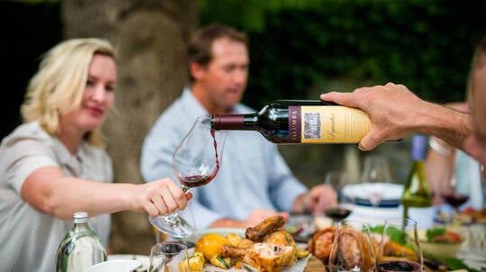 Picnic and Structured Wine Tasting at Yalumba - For 2