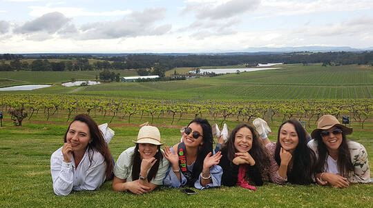 Hunter Valley Wine, Gin, Chocolate and Cheese Tour - Sydney