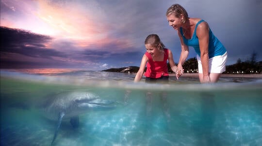 Tangalooma Day Trip with Dolphin Feeding and Quad Bike Tour