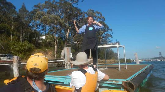 Clyde River Oyster Farm Kayaking Tour