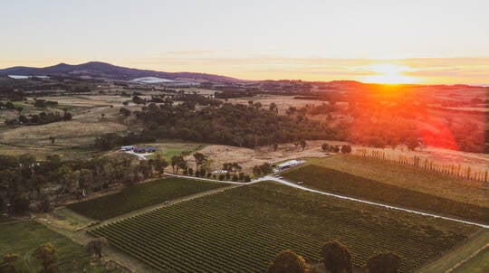 4 Course Lunch with Wine Pairing at Swinging Bridge Winery