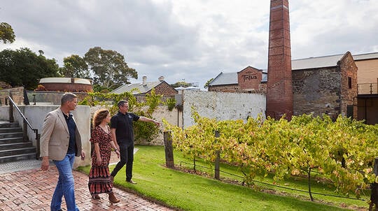 Hardys Hidden Tour with Wine Tasting & Grazing Plate - For 2
