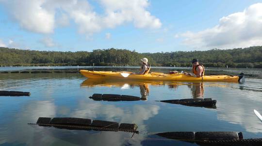 Clyde River Oyster Farm Kayaking Tour