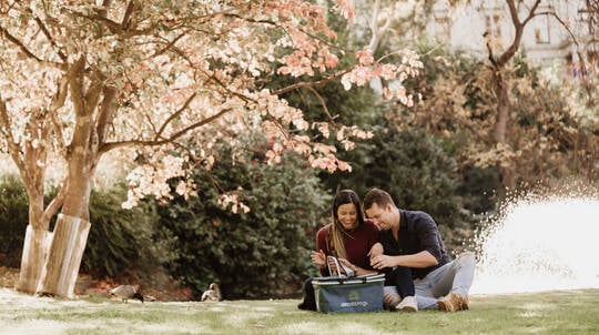 All Inclusive Mystery Picnic Experience - VIC