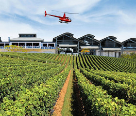 helicopter wine tours