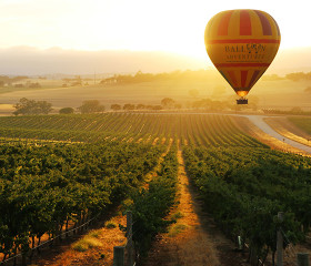 Hot air ballooning Barossa Valley
