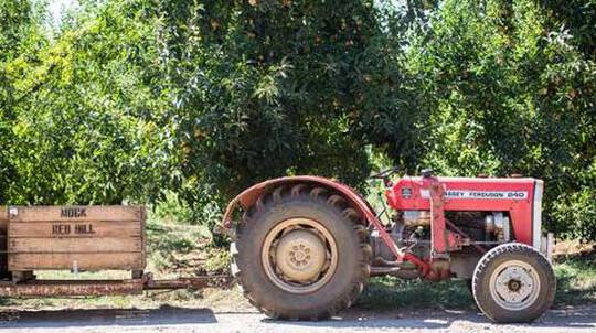 Mornington Peninsula Wine, Food and Farm Tour - For 2