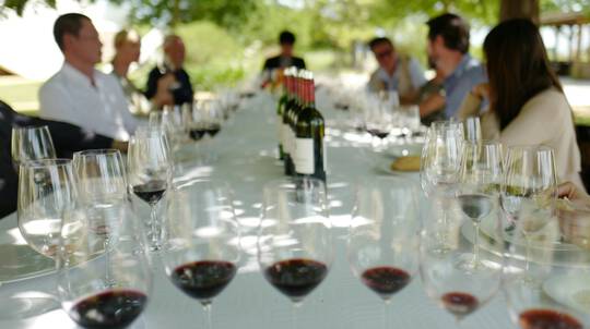 Southern Highland Tractorless Vineyard Long Italian Lunch