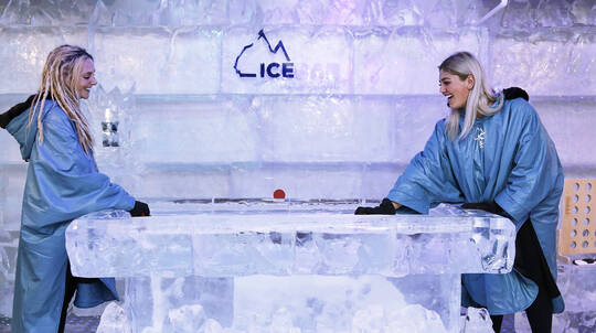 Deluxe IceBar Entry and Cocktail - Adult