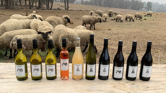 Experience Sustainable Winemaking at Tractorless Vineyard