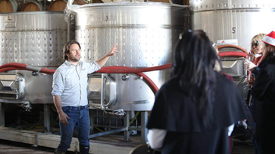 Experience Sparkling at Tractorless Vineyard - 2 Hours